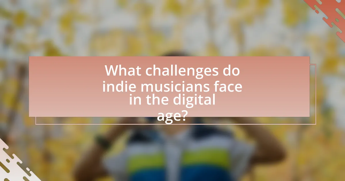 What challenges do indie musicians face in the digital age?